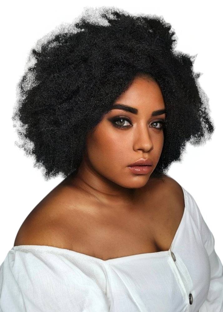 Afroliscious Iconic Human Hair Afro Wig Solange