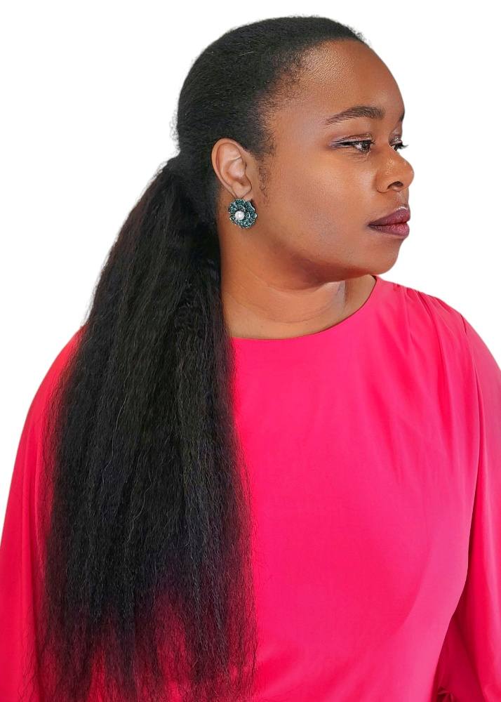 Nicki HH Ponytail