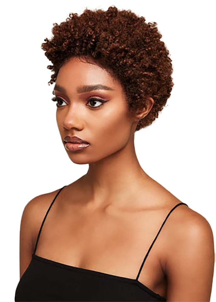 Classic Kinky Afro Lace Wig Synthetic Lace Front Afro Wig Feme Collection T1B/30