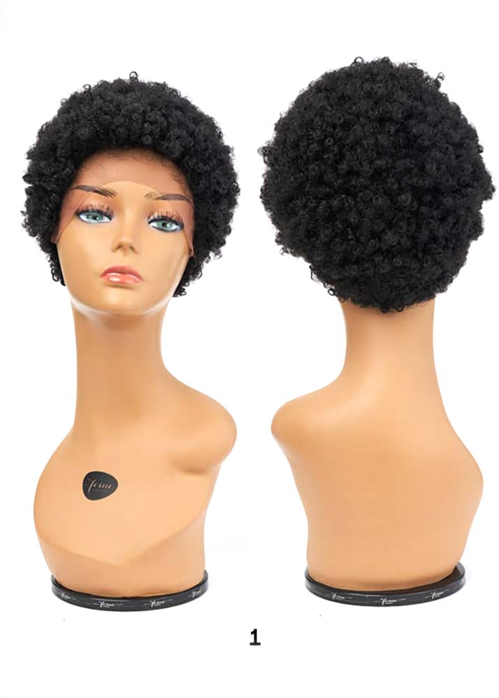 Classic Kinky Afro Lace Wig Synthetic Lace Front Afro Wig Feme Collection 1