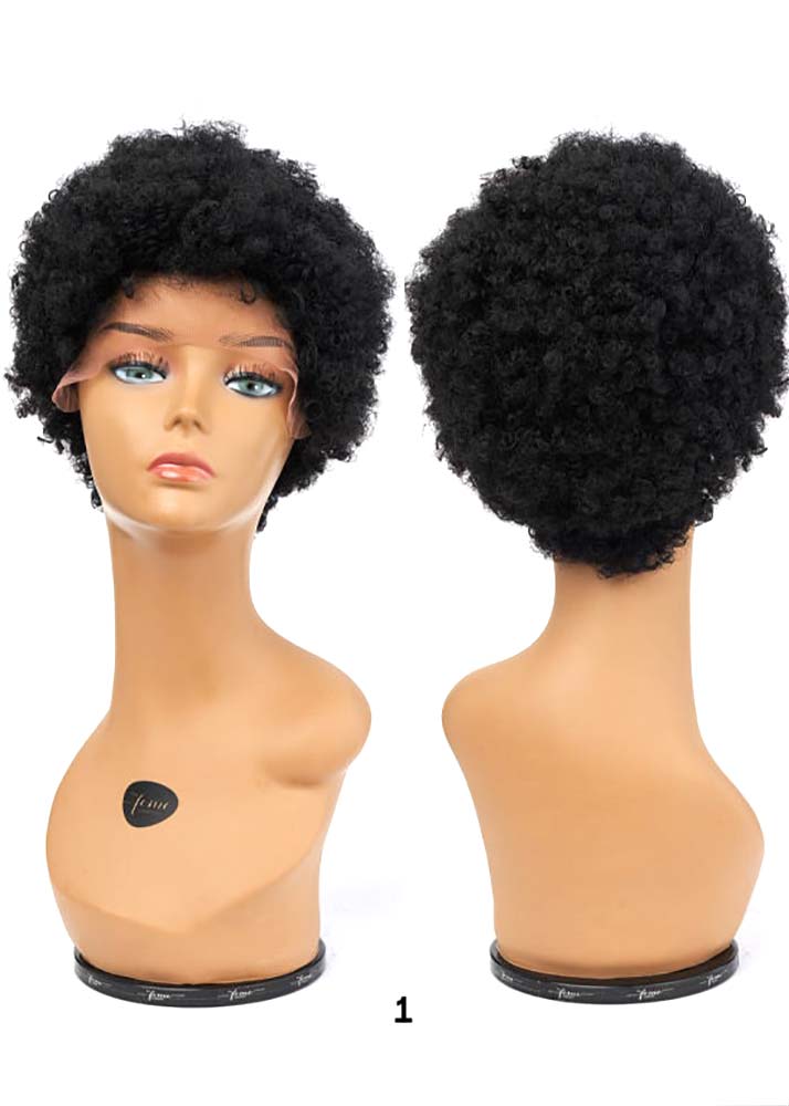 Natural Curl Afro Lace Wig Feme Collection 1