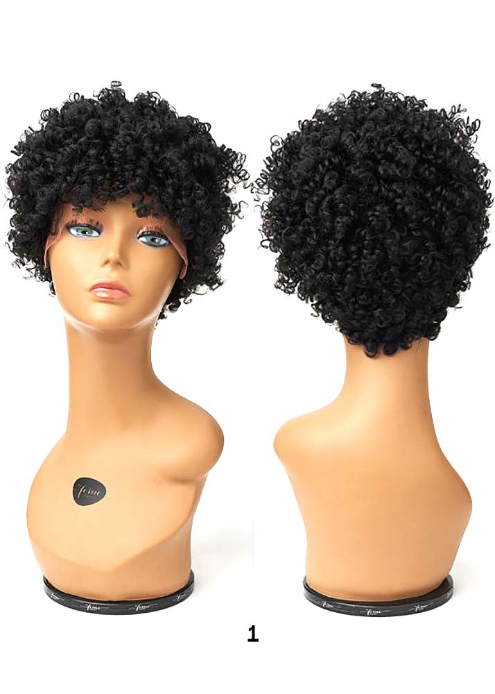 Soft Natural Curl Afro Lace Wig Feme Collection 1