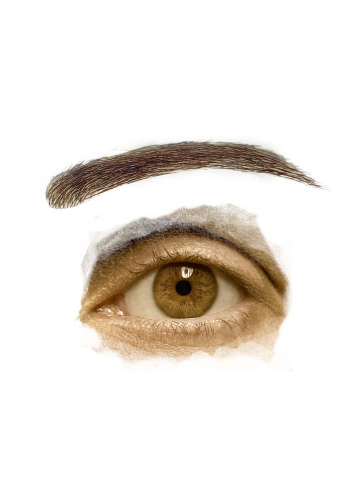 Cove Human Hair Fake Eyebrows