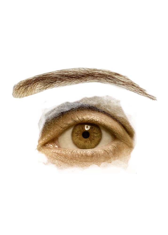 Jude PU skin eyebrow hair brow