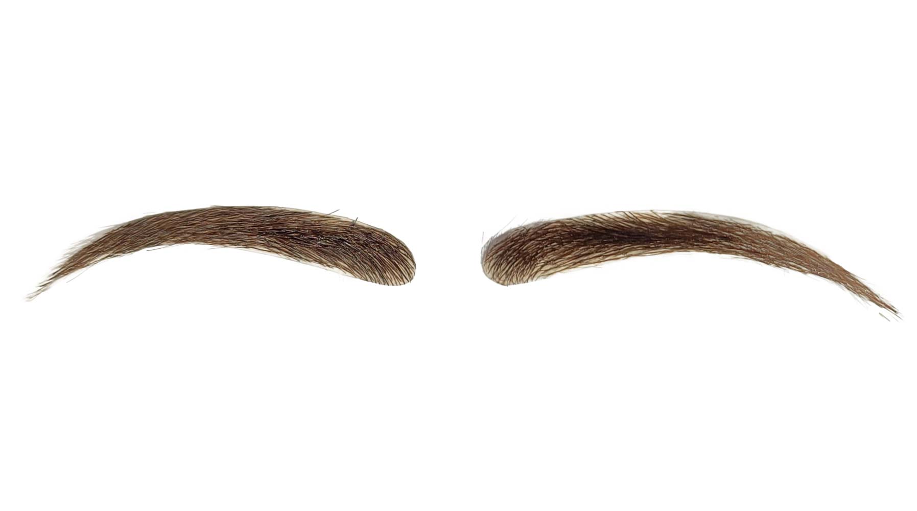 Robyn Hair Brows PU Skin Eyebrows - 1 pair