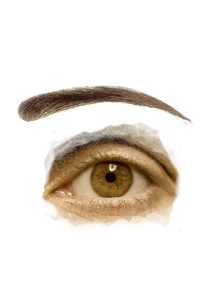 Robyn Hair Brows Human Hair Fake Eyebrows