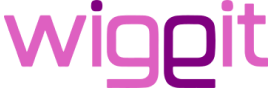 WIGgIT logo