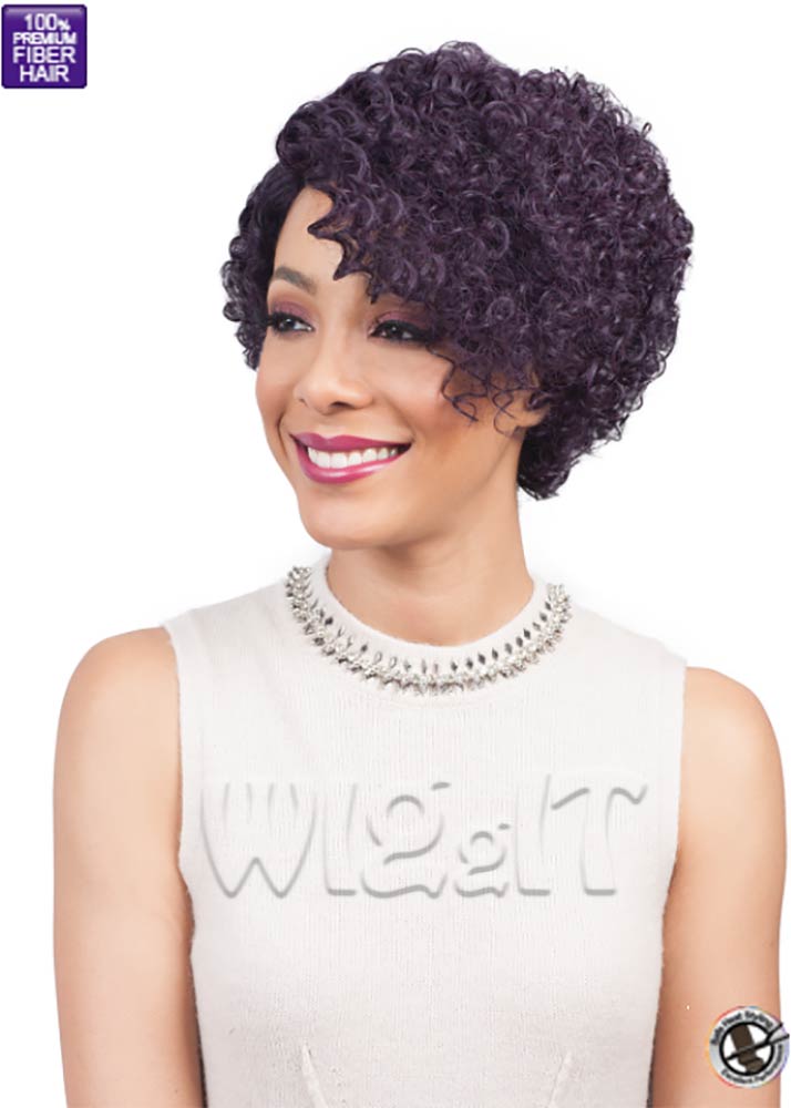 Winney Curly Afro Synthetic Full Cap Wig It s A Wig WIGgIT